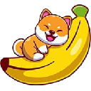 Nano Doge Token logo