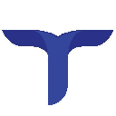 Tianyu Finance