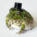 Meme Coin Image