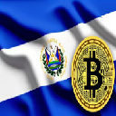 Meme Coin Image