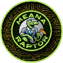 Meme Coin Image
