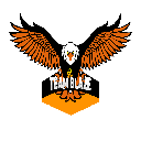 Team Blaze Token logo