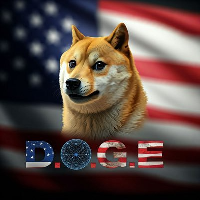 Department of Gov Efficiency (deptofgovtefficiency.com) price today ...