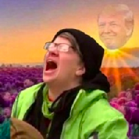 33870.png