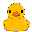 ducky