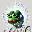 Mind of Pepe