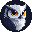 Snowy Owl