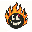 Don’t Burn Capital