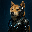 Doge Grok Companion