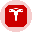 Tesla Tokenized Stock (Ondo)