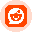 Reddit Tokenized Stock (Ondo)
