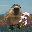capybara