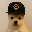 PUP (pupxbnb.com)