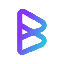 BRISE logo