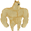 SWOLE logo