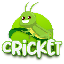 CRICKET