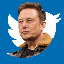 ELON BUYS TWITTER EBT