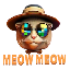 $MEOW logo