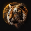 TIGERMOON logo