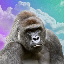 Harambe on Solana Coin Prognose