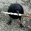 crow with knife Coin Prognose