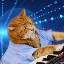 Keyboard Cat price