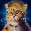 Guia de como comprar TRUMP CAT TRUMPCAT