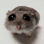 SAD HAMSTER Image