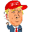 TRUMPCOIN logo