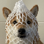 Wrapped Dog Image