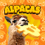 ALPACAS