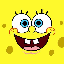 sponge