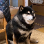 totakeke