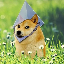 ETHDOGE logo