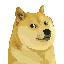 Doge Inu