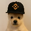 PUP logo