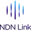 NDN Link Coin Prognose