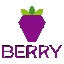 如何购买Berry Data BRY指南